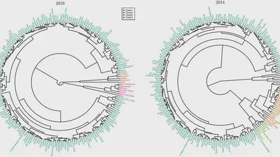 Typology, network features and damage response in worldwide urban road systems featured image
